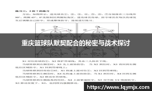 OB电竞官网
